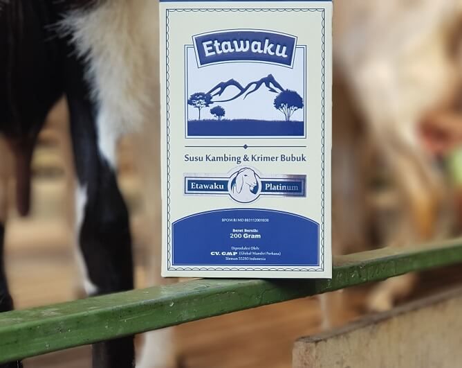 susu kambing etawaku