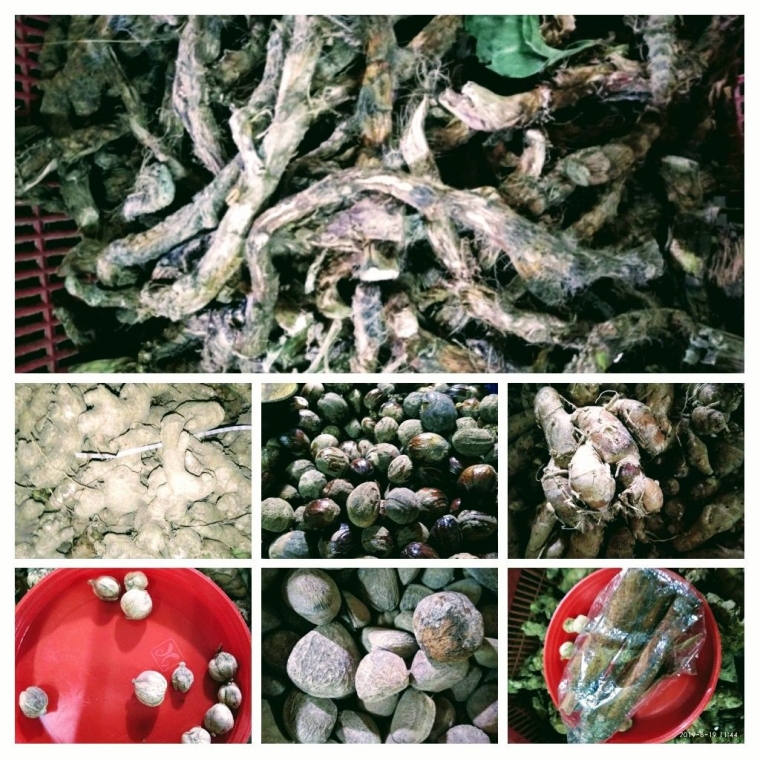 Rempah-rempah sebagai bahan pokok pembuatan jamu/dokpri