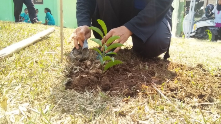  Penanaman secara simbolik oleh pemerintah kab. Tabalong, dinas Kehutanan, kepala se-Upau desa atau yang mewakili