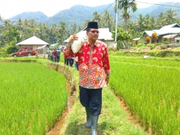 BUPATI Limapuluh Kota, Sumatera Barat, Irfendi Arbi, memanggul karus beras untuk dibagikan langsung kepada warga duafa di daerah itu. (DOK)