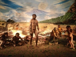 Ilustrasi kehidupan Homo Erectus di Wilayah Nusantara.Sumber foto dari Museum Sangiran Jateng (sumber:zenius.net)