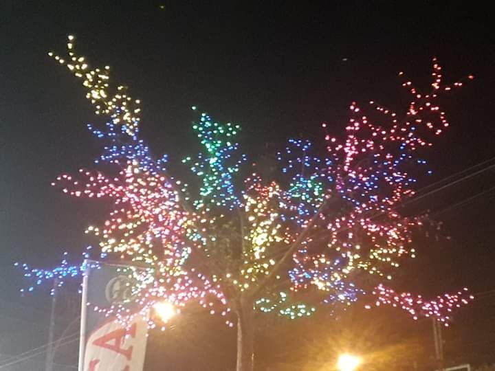 Pohon berbunga warna warni lampu di depan RITA supermarket. Photo by Ari