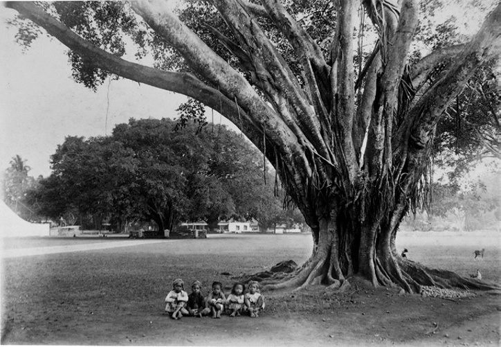 Alun-alun Malang era kolonial |sumber: KITLV Collection no: 16.473/digitalcollections.universiteitleiden.nl