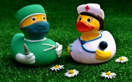 Doctor Ducks oleh Alexas Fotos - Foto: pixabay.com