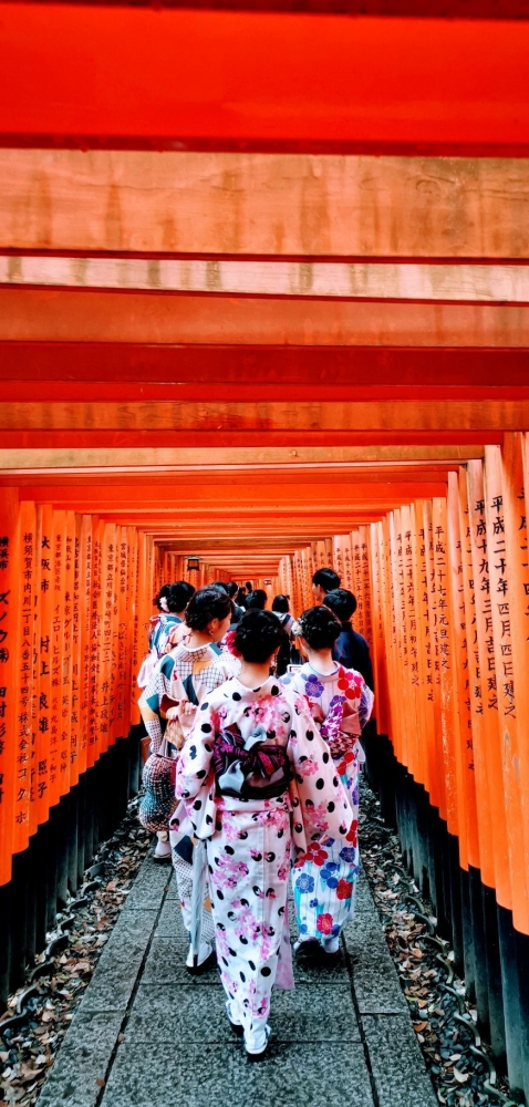 Ladies in Kimono. Dokpri