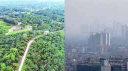 Kaltim dan Jakarta I Gambar : Tribunnews