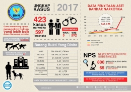Data Narkoba 2017 | BNN