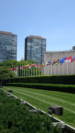 Saat anak saya lewat di Kantor UN (dokpri)