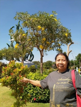 Ibu di bawah pohon Tabebuya di Taman Suroboyo. Photo by Ari