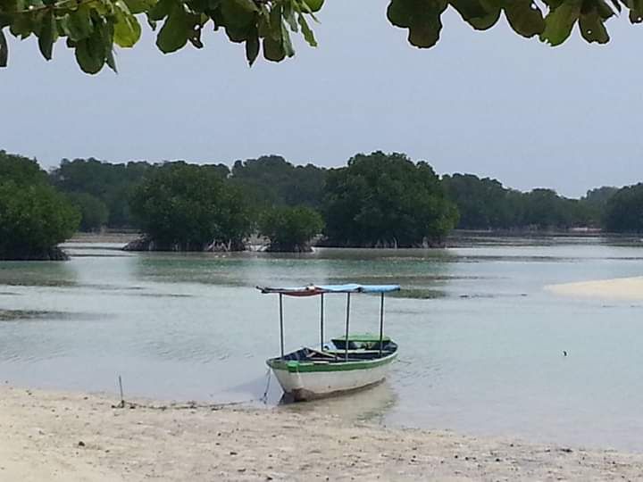 Perahu nelayan setempat disewakan untuk berkeliling Magrove. Photo by Ari