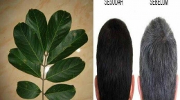 Ilustrasi manfaat daun rambutan untuk kesehatan rambut (Sumber : motivasinews.com)