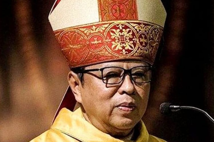Kardinal Baru Mgr. Ignatius Suharyo (kompas.com)