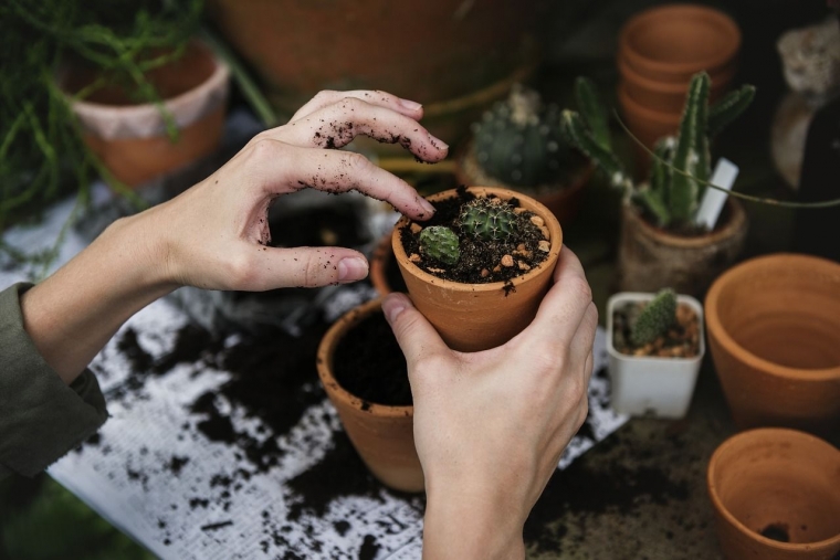 Berkebun juga merupakan hobi yang bermanfaat | Photo by rawpixel on Unsplash