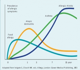 Grafik ini menunjukkan perjalanan berbagai macam bentuk alergi anak. Dok: Dr Molly, SpA-K