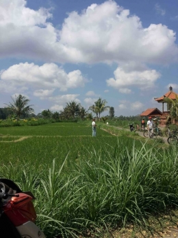 (file gambar: desa bongkasa pertiwi - caption: Suasana Desa Bongkasa Pertiwi yang Asri di Kecamatan Abiansemal, Kabupaten Badung - dok.Pribadi)