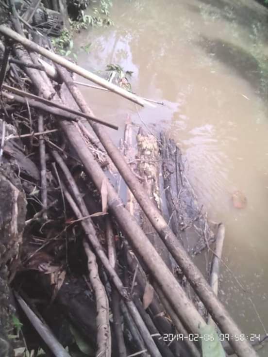 foto: Kawan Rudi salah satu sungai yang tercemar di wasile kab.haltim