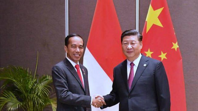 Presiden RI Ir. H. Joko Widodo dan Pemimpin Cina Xi Jinping | Dokumen gambar Detiknews.com