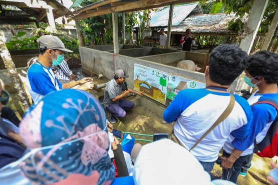 Sumber gas dari Desa Mambal, kotoran babi yangjadi ternak utama. (Doc : DBA 3)