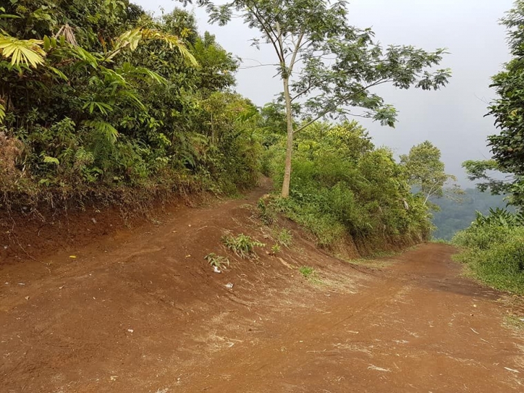 Jalur menuju pintu rimba ke arah atas itu (dokpri)