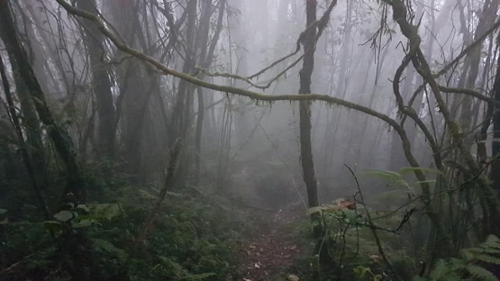 Muncak sore seorang diri. Suasananya serem. (Dokpri)