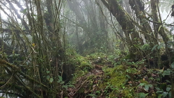 Contoh trek menuju top puncak, kiri-kanan jurang dalam (dokpri)