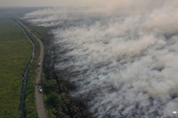 Kebakaran hutan | Sumber gambar: kompas.com