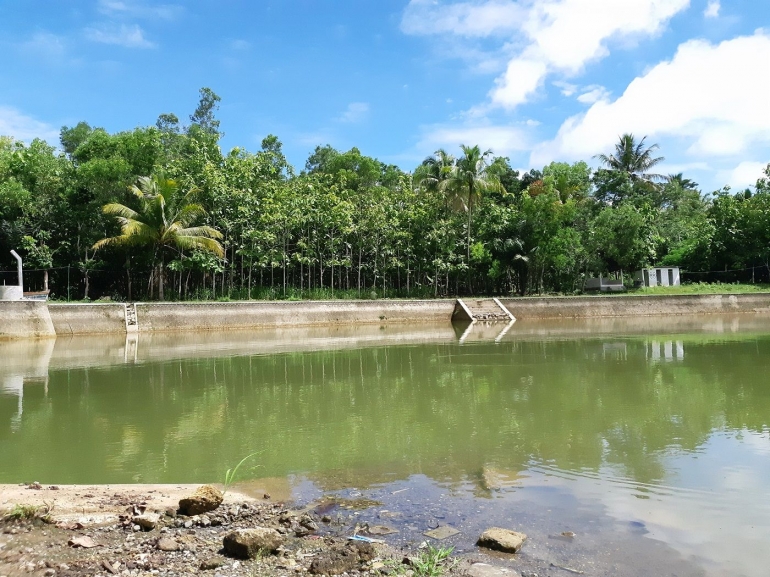 Telaga Kemuning sebagai media menabung air hujan bagi masyarakat (Dokumen Pribadi)