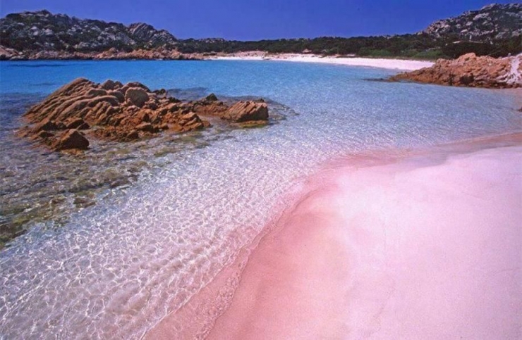 hamparan pasir merah muda di pantai pulau Budelli(sumber:adventuretravel.co.id)