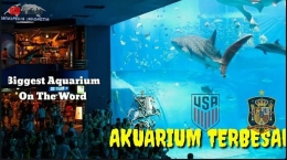 Aquarium Raksaksagarislucu.blogspot.com