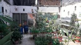 Kebun tanaman obat keluarga di RW 05 Telaga Murni(dokpri)