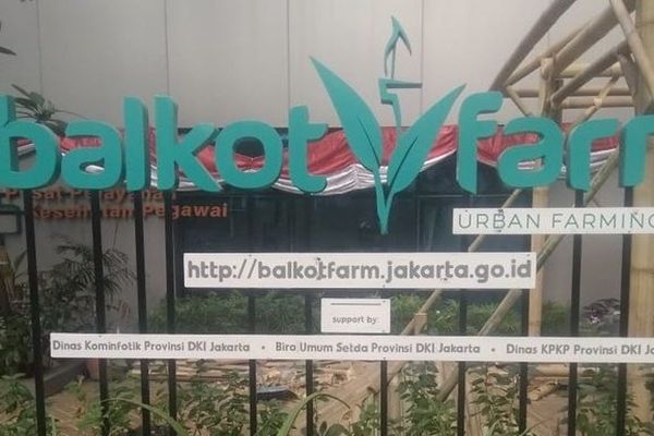 Dukungan Bank DKI terhadap Balkot Farm (dok. Bisnis.com)