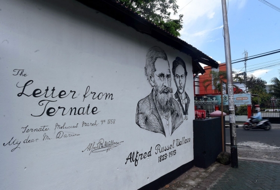 Mural pada tembok Lorong Wallace, menggambarkan keakraban Wallace dan Ali. Foto oleh: KOMPAS | BAHANA PATRIA GUPTA