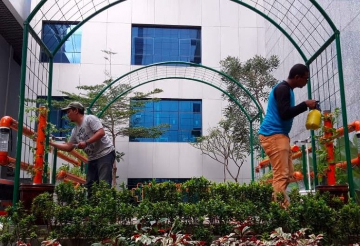 Balkot Farm, elaborasi konsep urban farming dan Internet of Things (dok. balkotfarm.jakarta.go.id) 