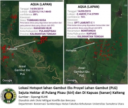 Gambar 5 (dok. DMKB Fahutan USU 2019)