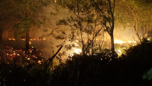 Ilustrasi kebakaran hutan di Indonesia|Foto: Kompas/Dionisius Reynaldo Triwibowo