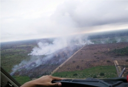 Foto udara karhutla Wilayah Kaltim | Dokumen Milik Pribadi