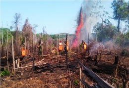 Para Satgas karhutla berjuang memadamkan kebakaran di Wilayah Kaltim | Dokumen Milik Pribadi