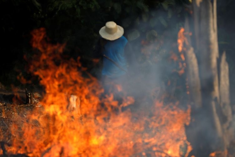 ilustrasi: Seorang pria bekerja di tengah api yang berkobar di Amazon. Hutan hujan tropis terbesar dunia itu mengalami kebakaran terparah pada tahun ini. (REUTERS/BRUNO KELLY)
