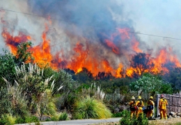 Kebakaran hutan yang begitu menyayat hati rakyat Indonesia. (www.aksipost.com) 