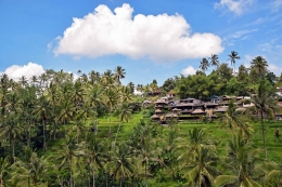 Deskripsi : Pemandangan alam di ubud dan homestay yang menyatu dengan alam, ini bisa dibuat dikawasan Borobudur I Sumber Foto : Pixabay