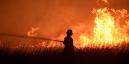 Kebakaran hutan di Oklahoma. Sumber: merdeka.com
