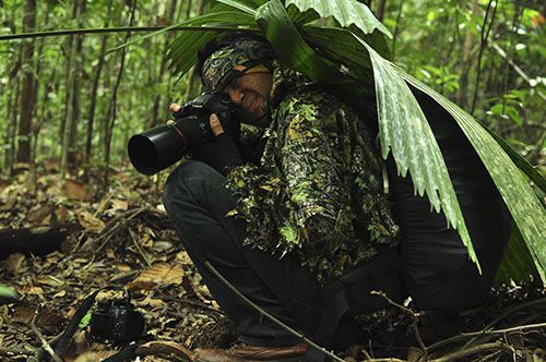 Safari yang Lain di Hutan Lindung Sungai Wain