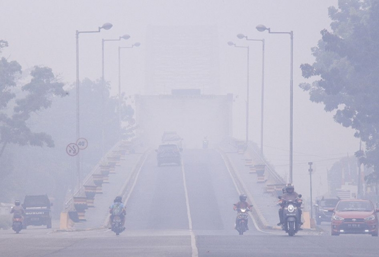 Dampak kabut asap akibat Karhutla | Dokumen Kompas.com