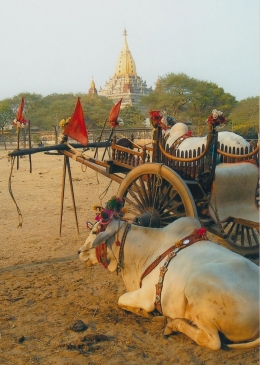 Pagoda di Bagan. Sumber: Dokpri