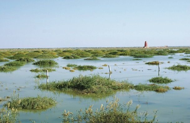 Qingtu Lake di Gansu tahun 2016 (sumber: cma.gov.cn)