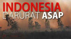 Indonesia Darurat Asap, time line media akhir-akhir ini