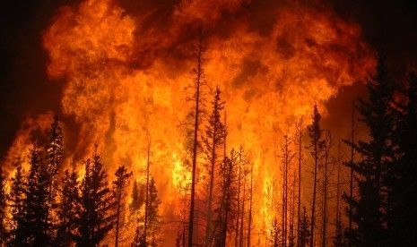 Musibah Bencana Kebakaran Hutan dan Lahan | Dokumen Republika.co.id