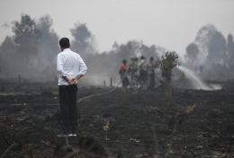 Presiden Joko Widodo meninjau penanganan kebakaran lahan di Desa Merbau, Kecamatan Bunut, Pelalawan, Riau, Selasa (17/9/2019). (ANTARA FOTO/PUSPA PERWITASARI)