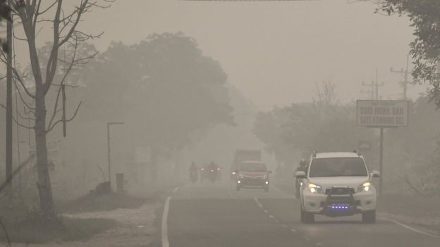 Ilustrasi Kabut asap di Palangka Raya/Antara.
