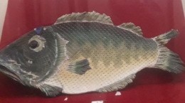 Koleksi gerabah dengan bentuk ikan (dokpri)
